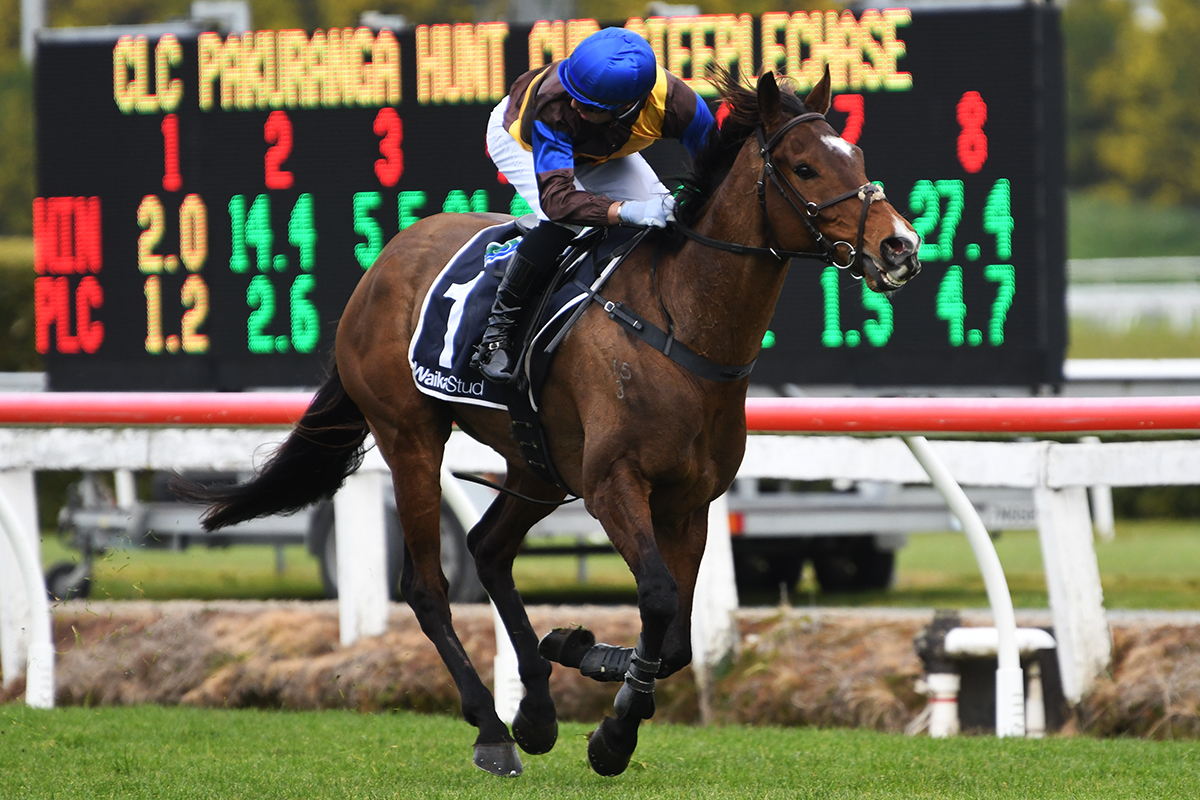 Nedwin & The Cossack return for Waikato Jumps Glory